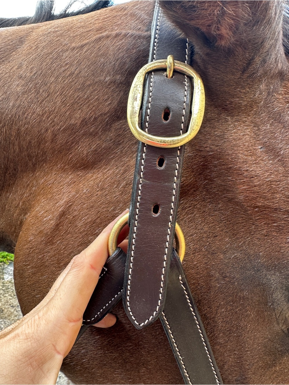 Brown Leather Horze horse Halter with White Stitching - Picture 8 of 8